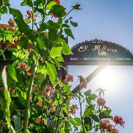El Molino 2*